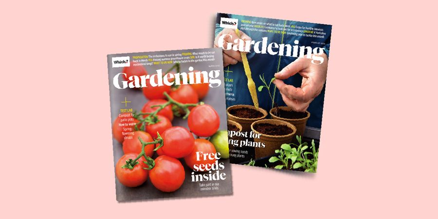 Magazines