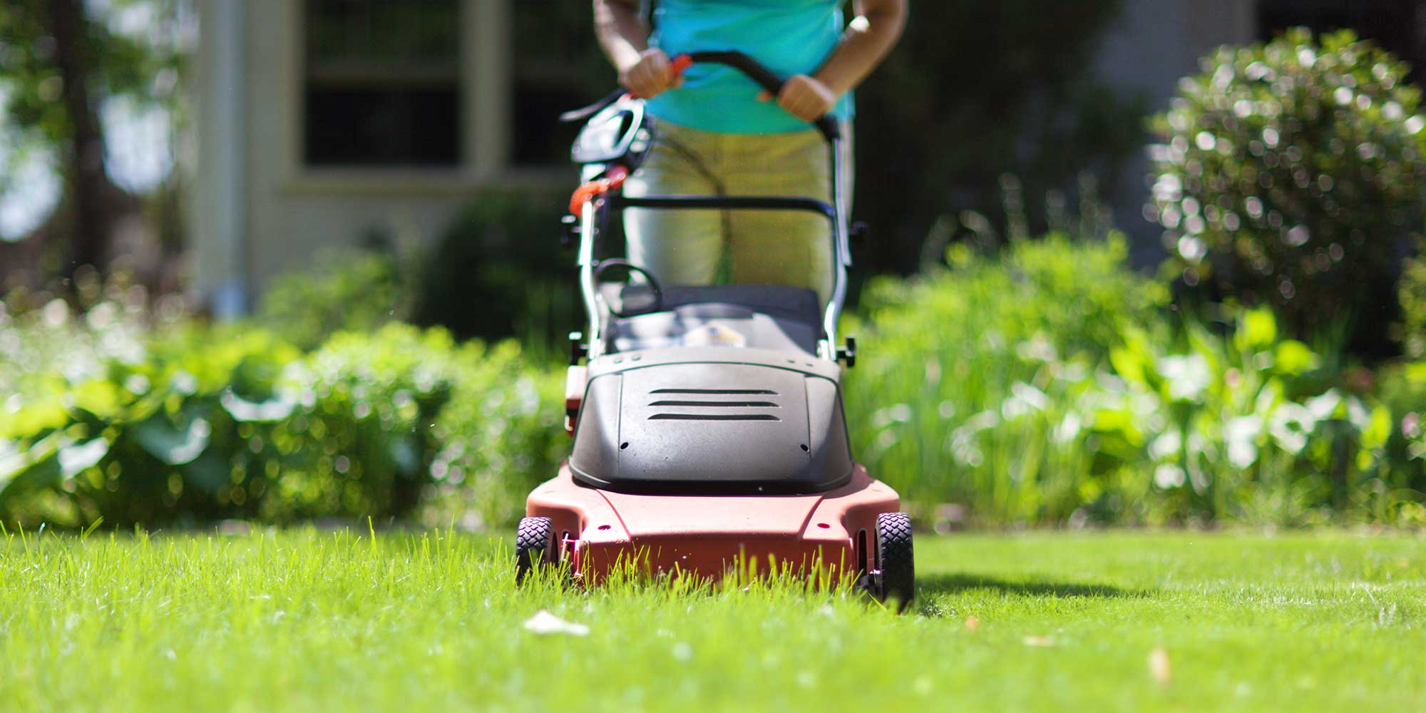 cordless lawn mower