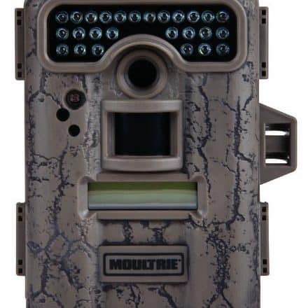 Moultrie D-444 Trail Camera Review