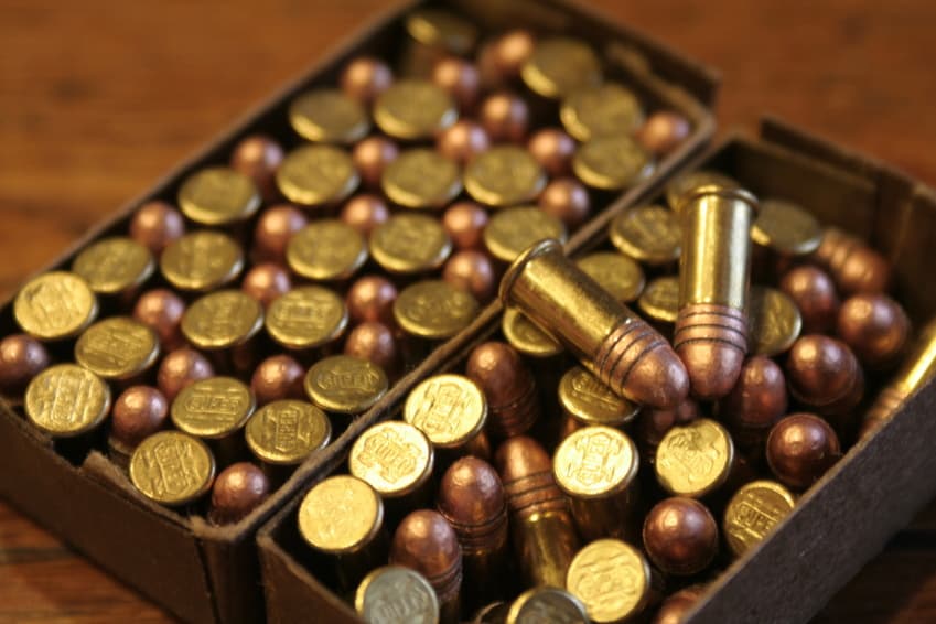 small game ammo, .22 cal ammo