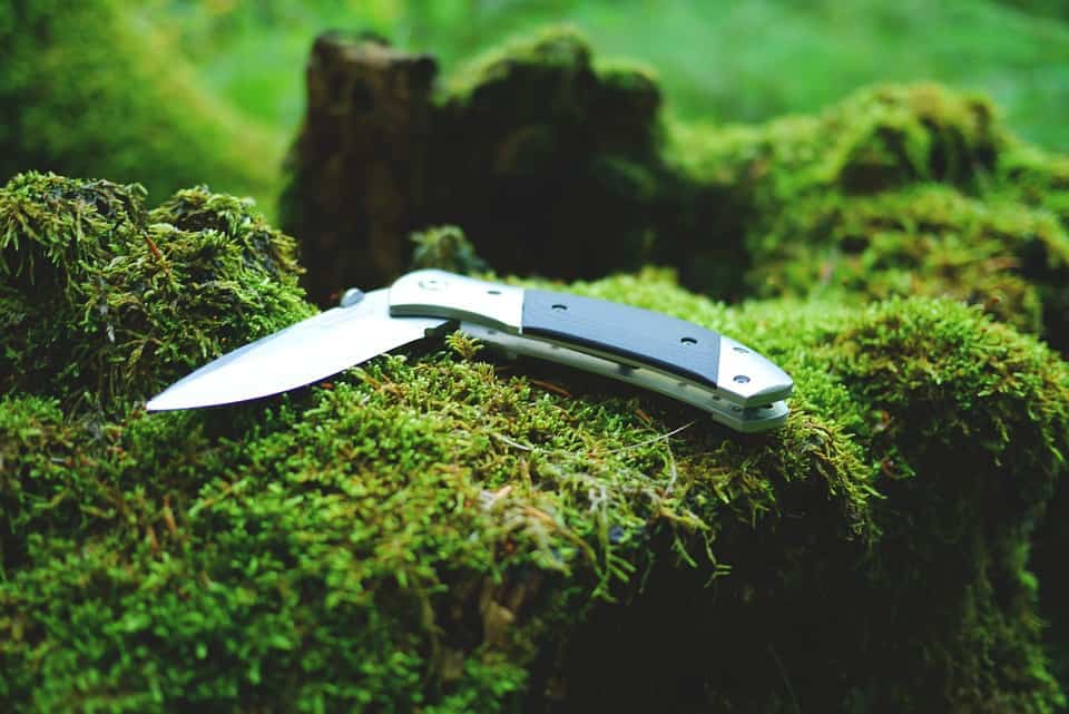 Photo of a folding knife in the forest