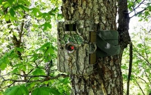 trail camera design