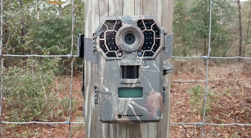 Best Deer Trail Cameras – Reviews and Guide