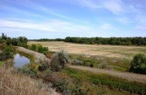 Glasgow, MT Hunting