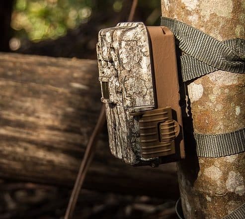 How To Use a Trail Camera
