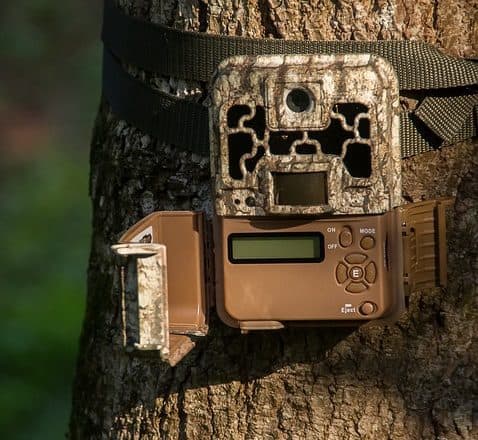 Checklist For Trail Camera Scouting